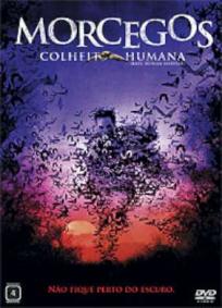 Morcegos - Colheita Humana