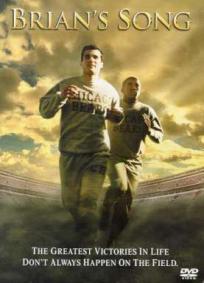 Jogando para Sobreviver