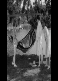Birds of Prey (1930)