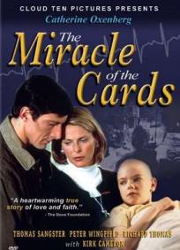 Em Busca de um Milagre (2001)