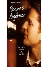Um Amigo Para Algernon (2000)