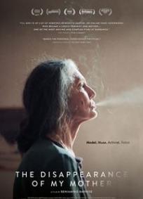 O Desaparecimento de Minha Mãe