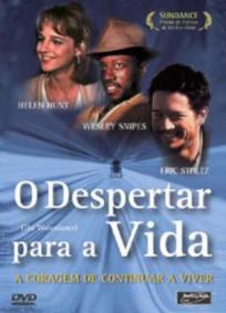 O Despertar para a Vida