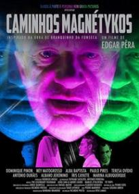 Caminhos Magnétykos