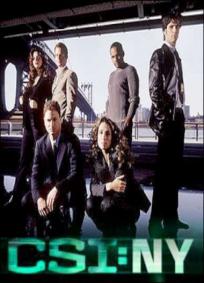 CSI NY - 1ª Temporada