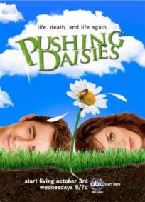 Pushing Daisies - 1ª Temporada