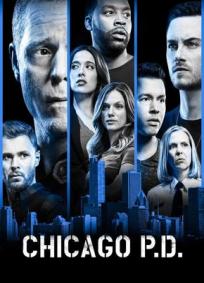 Chicago PD - 6ª Temporada