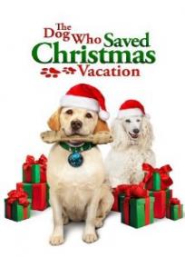 O Cachorro Que Salvou As Férias De Natal