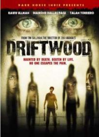 Driftwood - O Reformatório