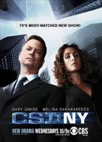 CSI: NY - 2ª Temporada