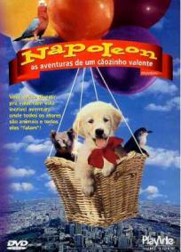 Napoleon - As Aventuras De um Cãozinho Valente